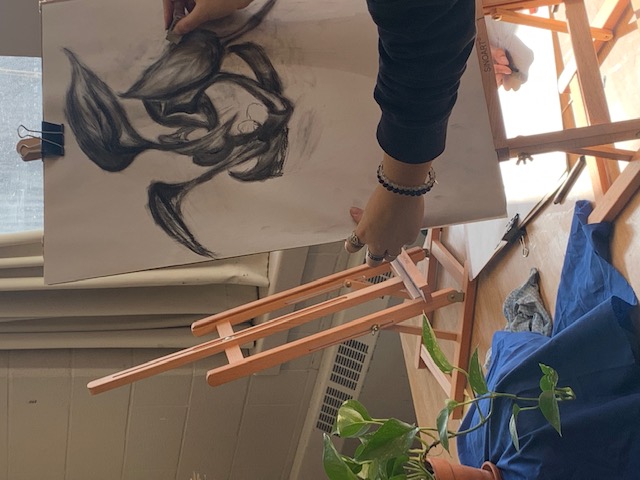 Still life drawing  Open Gallery
